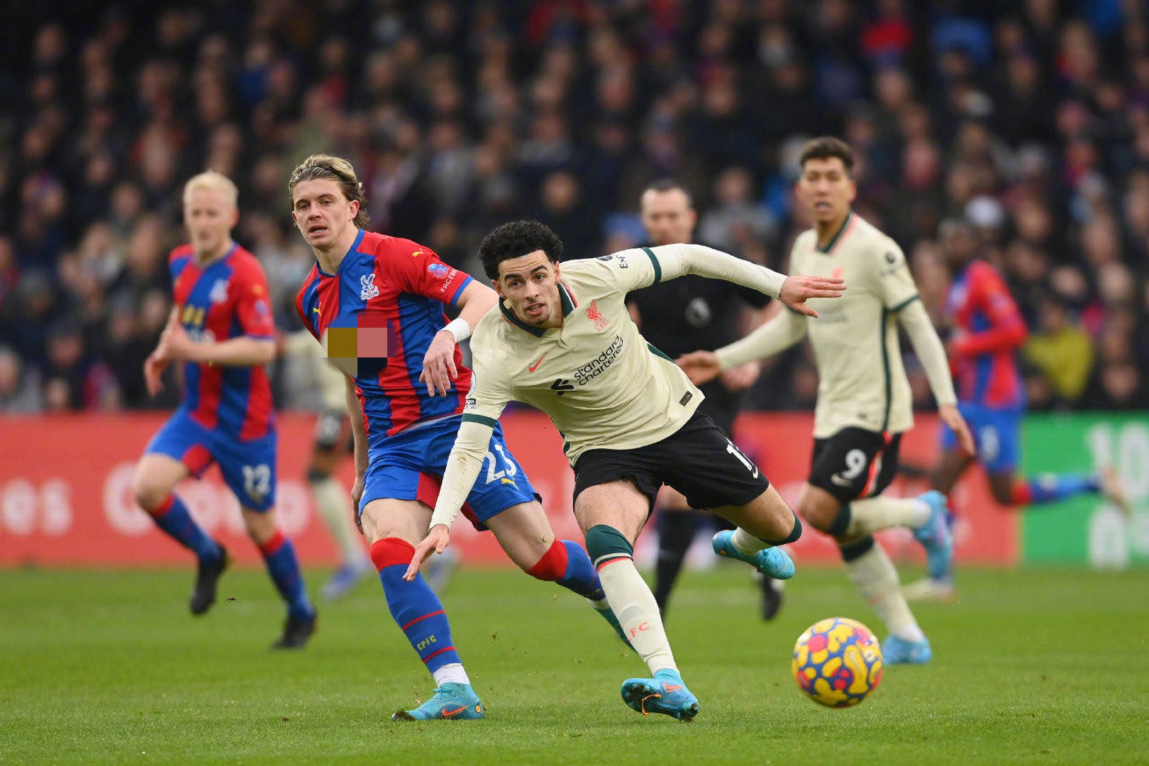 人的天赋 人的天赋